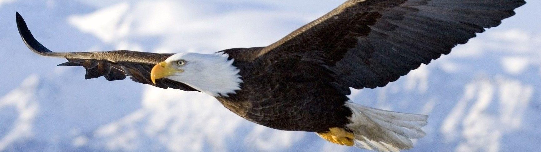 Bodyguard Service for RM100 per month